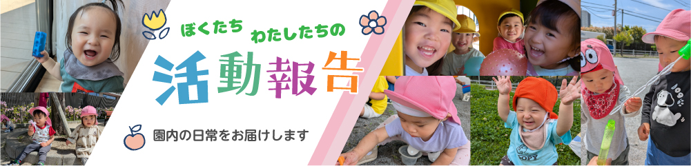 活動報告一覧