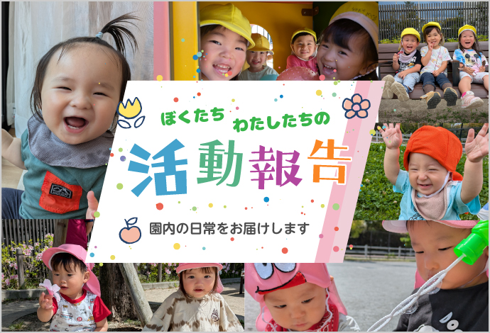 活動報告一覧