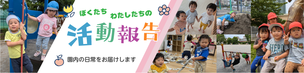 活動報告一覧
