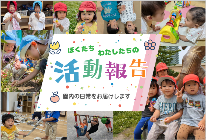 活動報告一覧